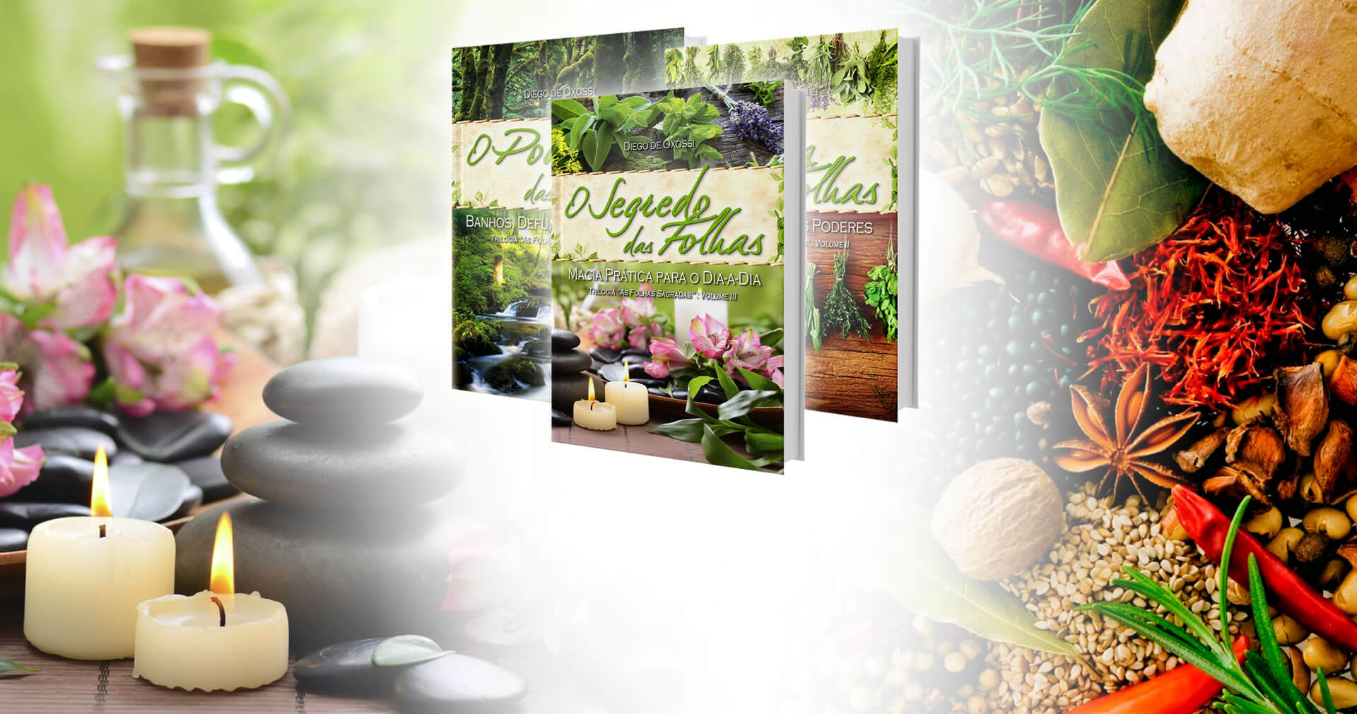 O Poder das Folhas | In volume 2 of the collection, babalosha Diego de Oxóssi presents the biggest dictionary of magic herbs in Brazil, with 365 plants in details.